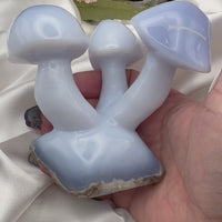 Chalcedony Double & Triple Mushrooms