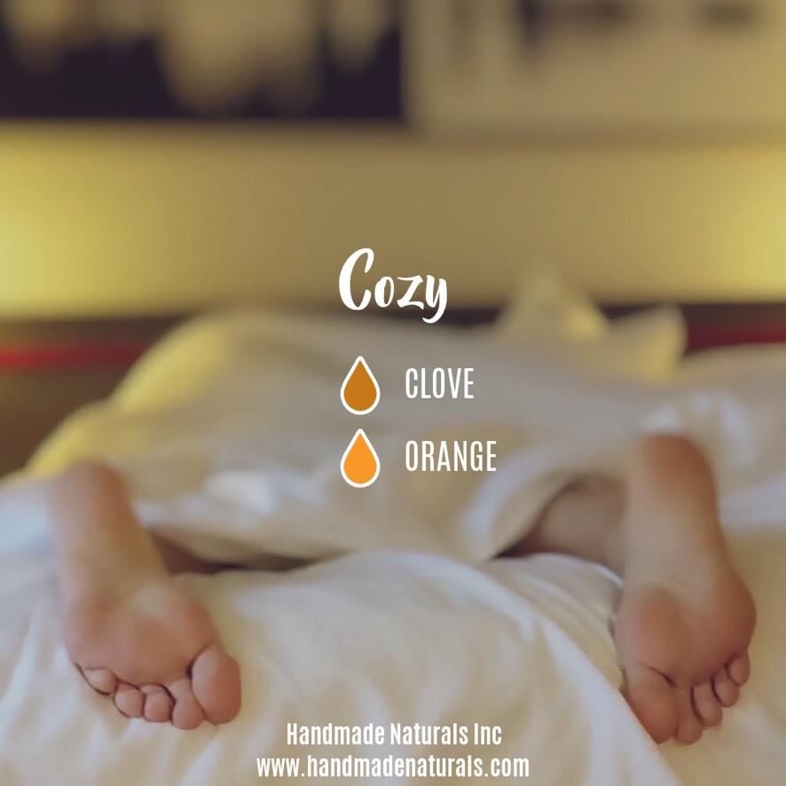 Cozy Essential Oil-Handmade Naturals Inc