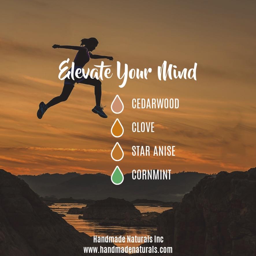 Elevate Your Mind Essential Oil-Handmade Naturals Inc